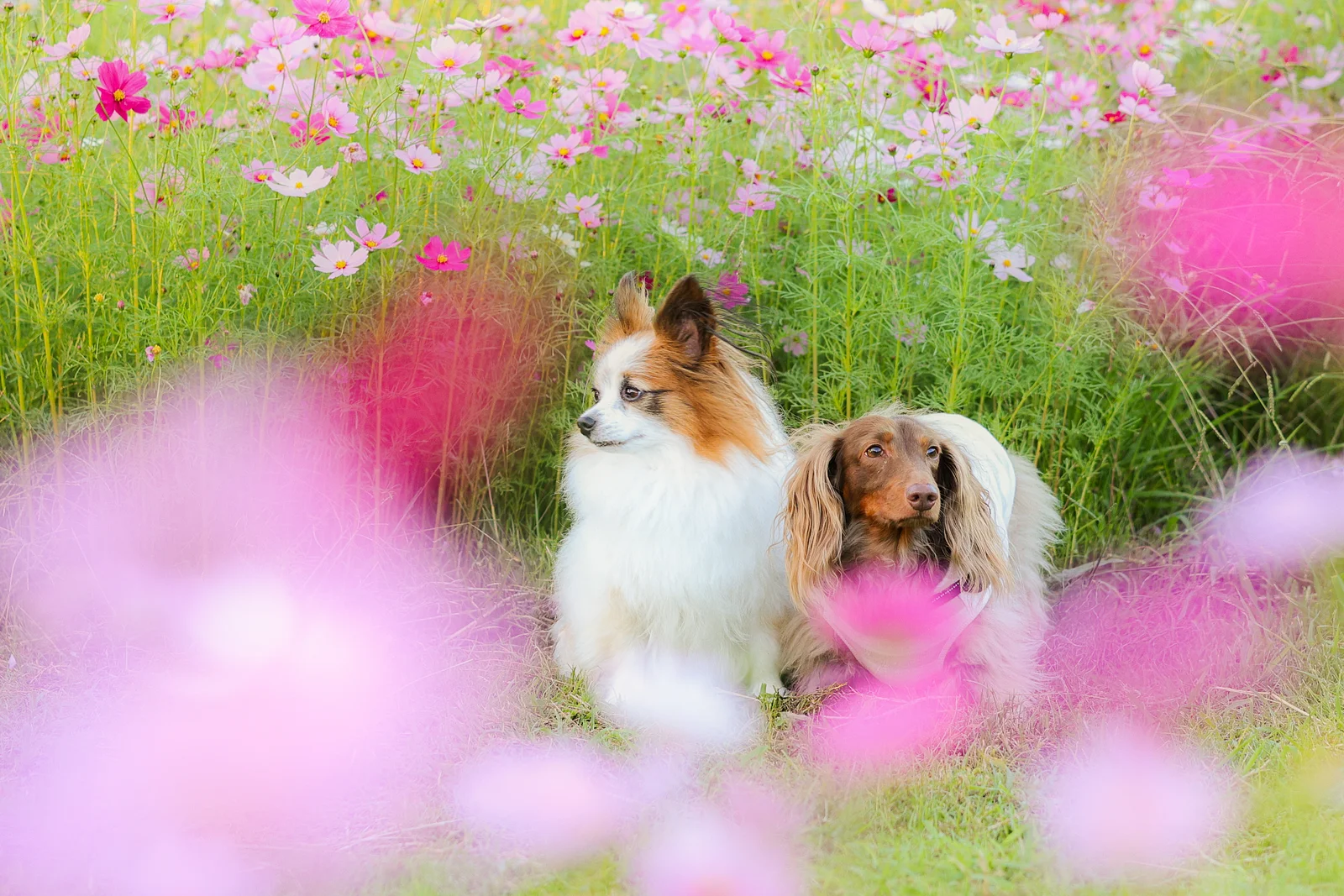 撮影会の様子 2
